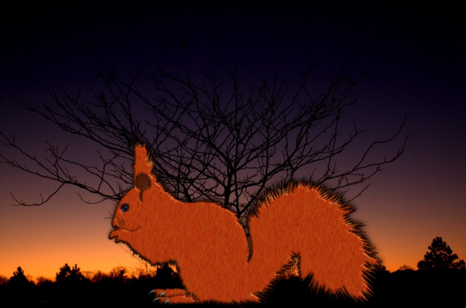 Squirrel_Domain's Avatar